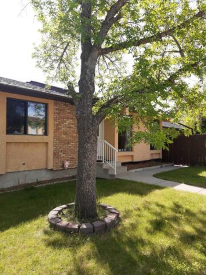 Cozy Home With Comfortable Beds And Fully Equipped Kitchen 15 Mins Drive From Airport, Downtown, Sait And U Of C And 80 Min Drive To Banff Κάλγκαρι Εξωτερικό φωτογραφία